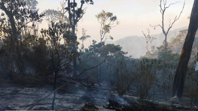 Kebakaran Gunung Buthak Makin Membara, Pemadaman Darat Dihentikan