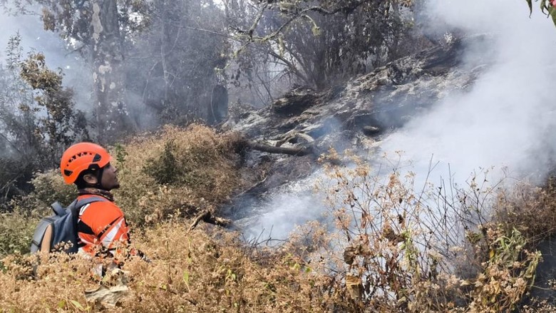 Update Kebakaran Buthak: 284 Pendaki Tersebar di 3 Gunung