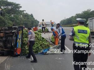 Mobil Pikap Angkut Pisang Terbalik di Tol Jagorawi, Sopir Terluka