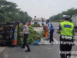 Mobil Pikap Angkut Pisang Terbalik di Tol Jagorawi, Sopir Terluka