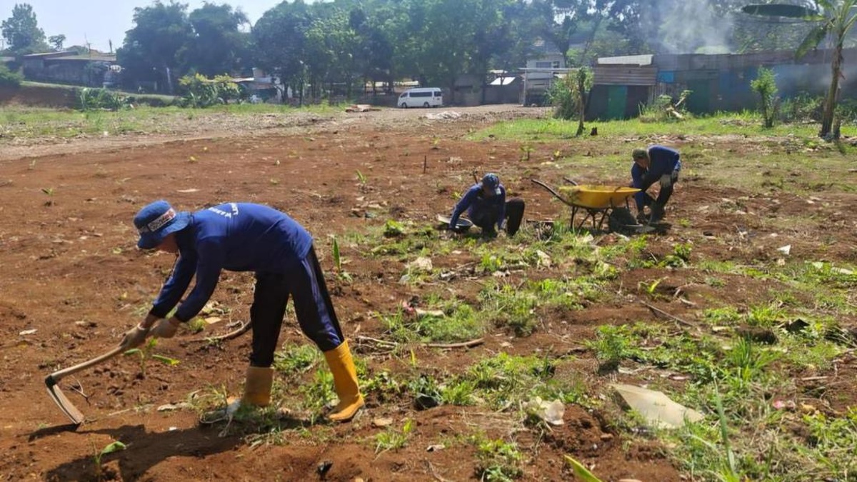 Napi Lapas Bogor Sulap Lahan Tidur Jadi Area Pertanian Produktif