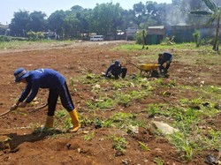 Napi Lapas Bogor Garap Lahan Idle Jadi Lahan Tani