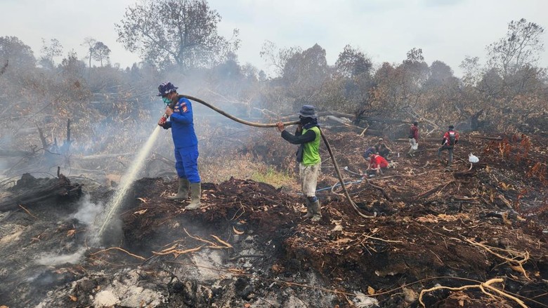 Lahan Gambut 969 Hektare Padam, Drone Diturunkan Pantau Kerumutan