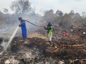 Lahan Gambut 969 Hektare Padam, Drone Diturunkan Pantau Kerumutan