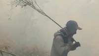 185 Pendaki Terjebak Karhutla di Gunung Buthak, BPBD Jatim: Baik-baik Saja