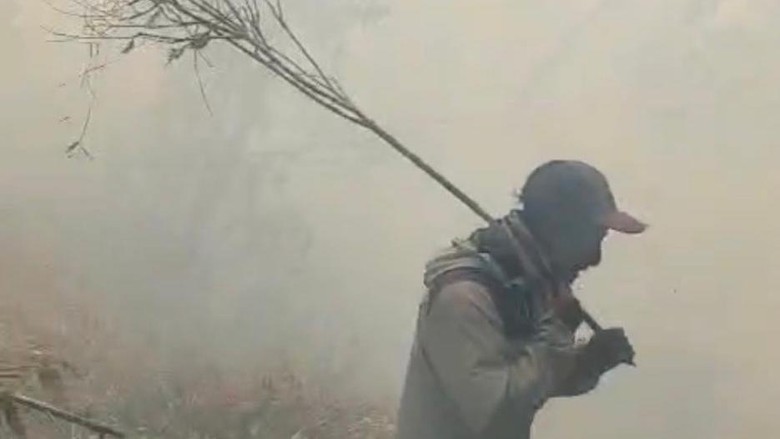 Kebakaran Hutan Terjadi di Gunung Buthak Malang!