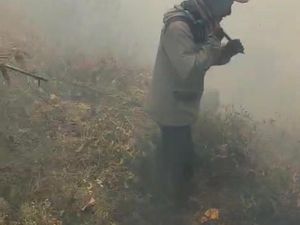Kebakaran Hutan Terjadi di Gunung Buthak Malang!