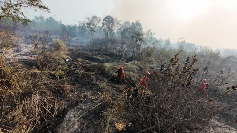 Titik Panas di Sumsel Catat Rekor Tertinggi Sejak 2015