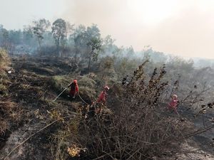 Titik Panas di Sumsel Catat Rekor Tertinggi Sejak 2015