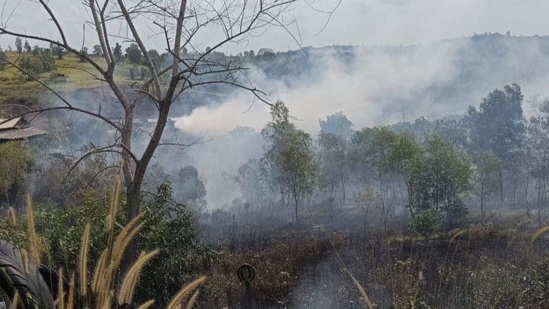 4 Hektare Lahan Kosong di Balikpapan Timur Terbakar