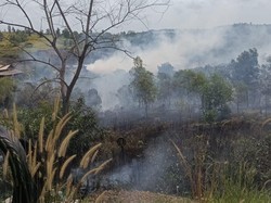 4 Hektare Lahan Kosong di Balikpapan Timur Terbakar