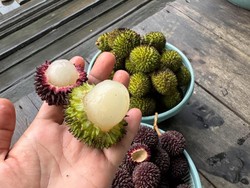 Rambutan Hijau dan Rambutan Hitam, 2 Buah Eksotis dari Kalimantan