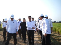 Mentan & Bupati Subang Tinjau PM-AAS, Panen Naik 2 Kali Lipat