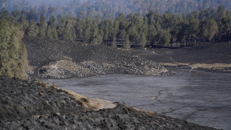 Hari Ke-10 Pemadaman Kebakaran Lahan Gambut di Riau