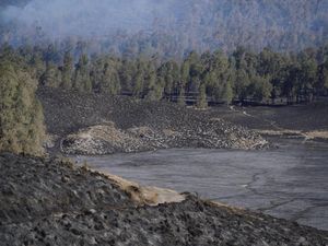 590 Hektare Kawasan TNBTS Terdampak Kebakaran, Vegetasi Menghitam