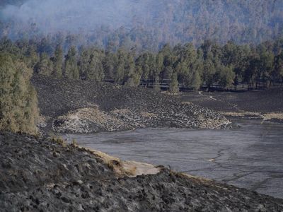 590 Hektare Kawasan TNBTS Terdampak Kebakaran, Vegetasi Menghitam