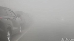 Asap Pekat Selimuti Kotawaringin Barat, Warga: Seperti Hidup di Atas Awan