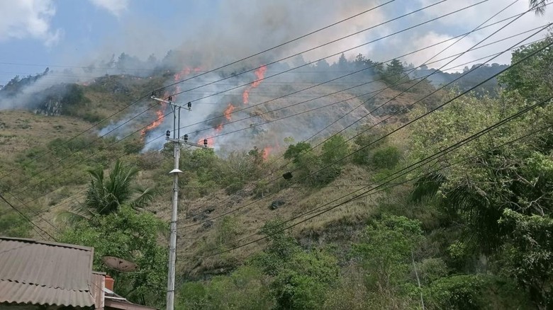 Kebakaran di Gunung Lakawan Enrekang 3 Hari Belum Padam, 70 Ha Lahan Hangus