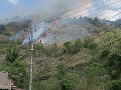 Kebakaran di Gunung Lakawan Enrekang 3 Hari Belum Padam, 70 Ha Lahan Hangus