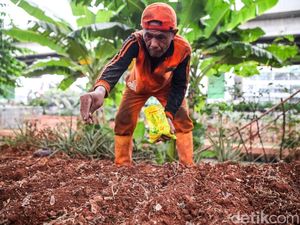 Kolong Tol Becakayu Disulap Jadi Lahan Pertanian