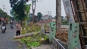 Pekerja di Depok Terpental dari Ketinggian 10 Meter saat Tebang Pohon