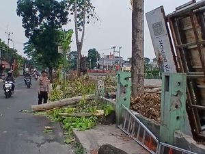 Pekerja di Depok Terpental dari Ketinggian 10 Meter Saat Tebang Pohon