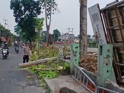 Pekerja di Depok Terpental dari Ketinggian 10 Meter Saat Tebang Pohon
