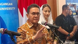 Beras Premium Kemasan 5 Kg Langka, Mendag Bilang Begini
