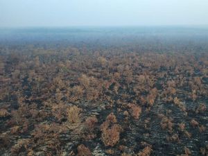 Empat Hari Nihil Titik Api, Karhutla di Kerumutan Riau Makin Terkendali
