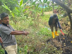 Pria di Palembang Ditangkap Usai Bakar Lahan Buka Kebun