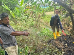 Pria di Palembang Ditangkap Usai Bakar Lahan Buka Kebun
