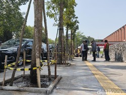 Usai Ditebang, 10 Pohon Kembali Ditanam di Depan SixNine Padel Bandung