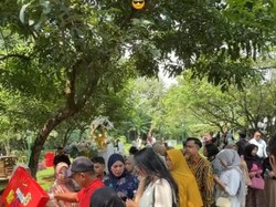 Viral Pernikahan Ala Gen-Z: Hadirkan Tukang Telor Gulung Hingga Es Doger