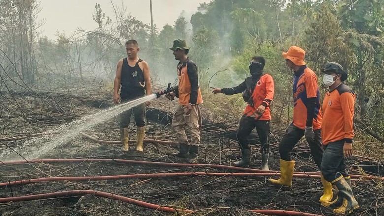 Hotspot Banyak di Pesisir Bulungan, Wilayah Masyarakat Adat Terpantau Aman
