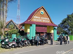 Tolak Pembatasan Rinjani, Pelaku Wisata: Mengapa Disamakan dengan Kalimantan?