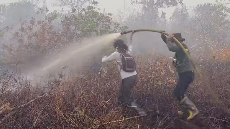Hari Ke-10 Pemadaman Kebakaran Lahan Gambut di Riau