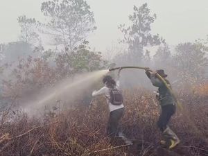 Sherina Ikut Padamkan Langsung Karhutla di Kalimantan