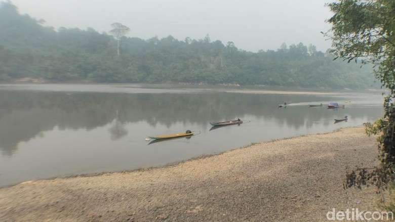 Tolong! Warga Sepanjang Sungai Kayan Bulungan Krisis Air Bersih-Dikepung Asap