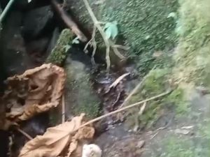 Tulang Diduga Kerangka Manusia Ditemukan di Lingsar Lombok Barat