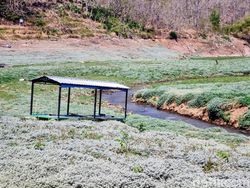 Waduk Bendo Ponorogo Surut, Nelayan Jalan Kaki 2 Km Cari Ikan