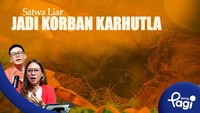 Satwa Liar Jadi Korban Karhutla