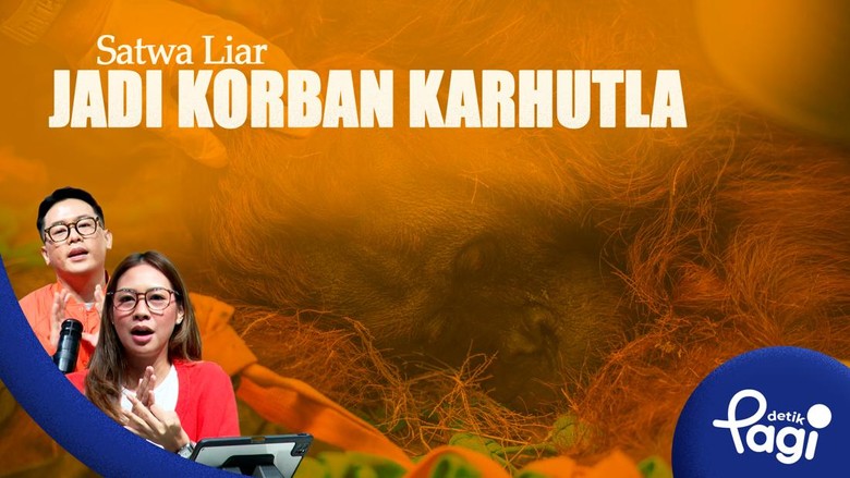 Satwa Liar Jadi Korban Karhutla