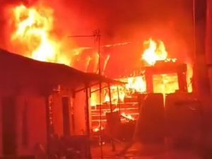 Gudang Pakan Ternak di Lampung Terbakar, 15 Kambing Mati Terpanggang