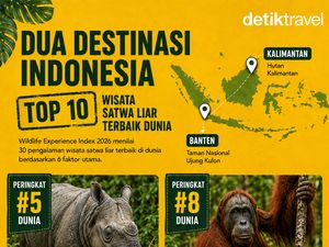 2 Tempat di RI Masuk Daftar Destinasi Wisata Satwa Liar Terbaik Sejagat