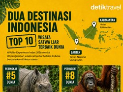 2 Tempat di RI Masuk Daftar Destinasi Wisata Satwa Liar Terbaik Sejagat