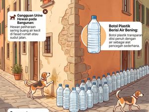 Orang Italia Punya Cara Unik Cegah Kucing Pipis Depan Rumah, Cuma Pakai Botol!