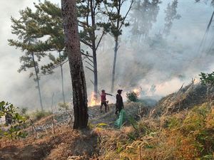 54 Karhutla Terjadi di Ponorogo, 189 Hektare Lahan Hangus dalam 2 Bulan
