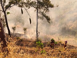 Karhutla Sebabkan Penyakit ISPA, Ini Gejala & Tips Perlindungan Diri dari Pakar UGM