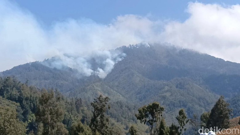 Kebakaran Hutan TNBTS Meluas Hingga Kabupaten Malang