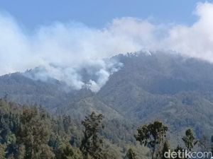 Kebakaran Hutan TNBTS Meluas Hingga Kabupaten Malang
